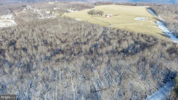 $250,000 | 49.08-acres 49.08-acres Maryland Highway, Swanton, MD 21561