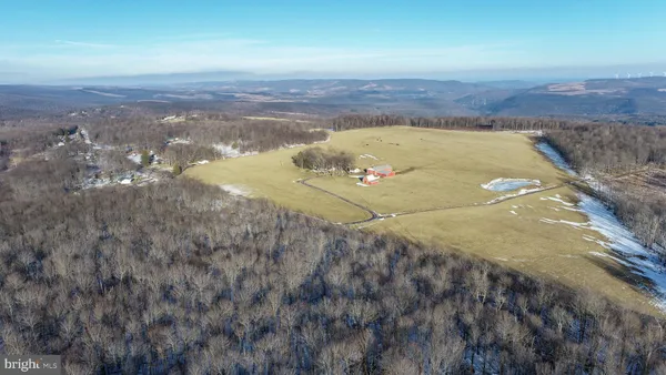 $250,000 | 49.08-acres 49.08-acres Maryland Highway, Swanton, MD 21561