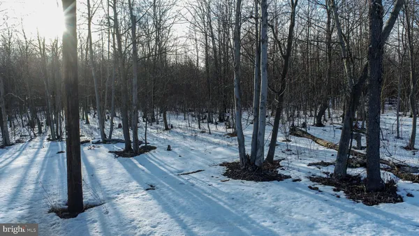 $250,000 | 49.08-acres 49.08-acres Maryland Highway, Swanton, MD 21561