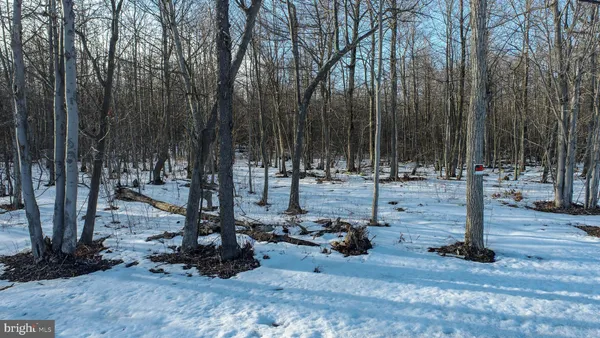 $250,000 | 49.08-acres 49.08-acres Maryland Highway, Swanton, MD 21561