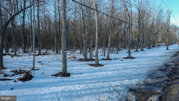 $250,000 | 49.08-acres 49.08-acres Maryland Highway, Swanton, MD 21561