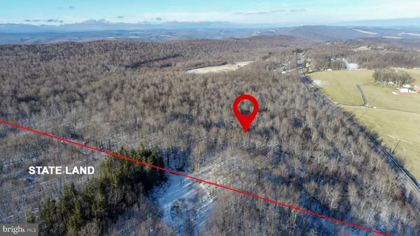 a view of a yard next to a yard