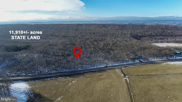 a view of a dry yard