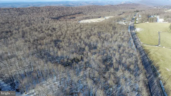 a view of a dry yard