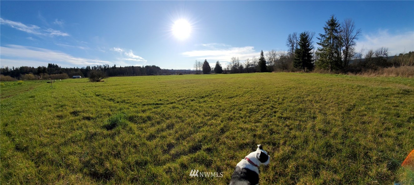 11020 Independence Road Southwest Rochester, WA 98579 - Photo 11 of 38 a view of a green field