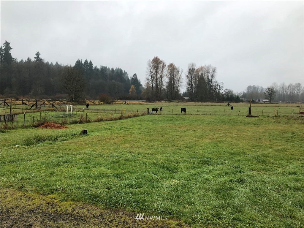 11020 Independence Road Southwest Rochester, WA 98579 - Photo 14 of 38 a view of outdoor space with green field and trees