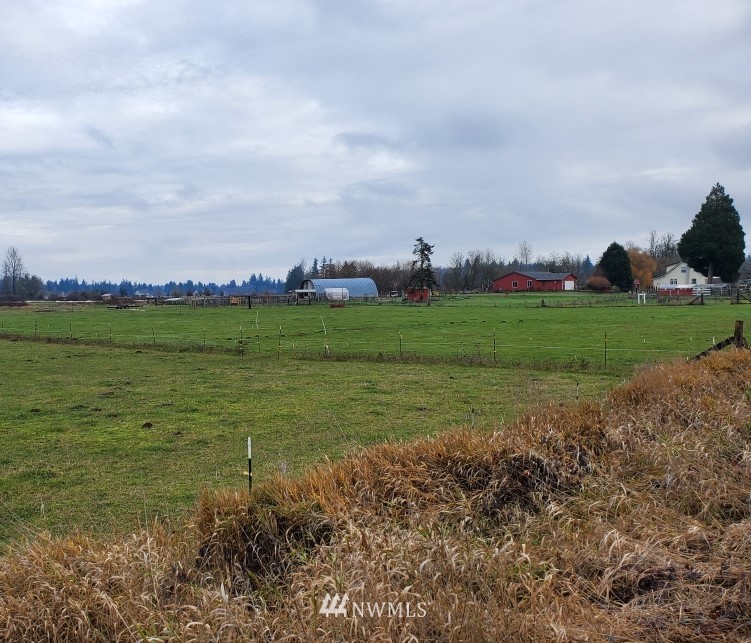 11020 Independence Road Southwest Rochester, WA 98579 - Photo 8 of 38 a view of a field and an ocean