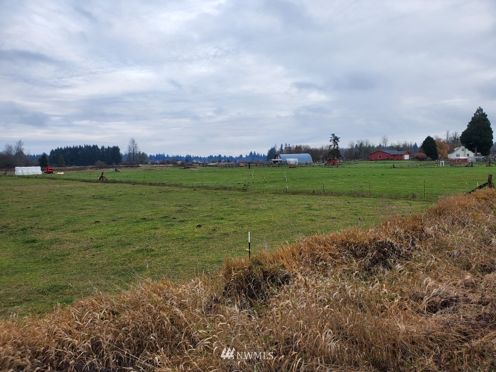 11020 Independence Road Southwest Rochester, WA 98579 - Photo 9 of 38 a view of a field with an buildings and a park