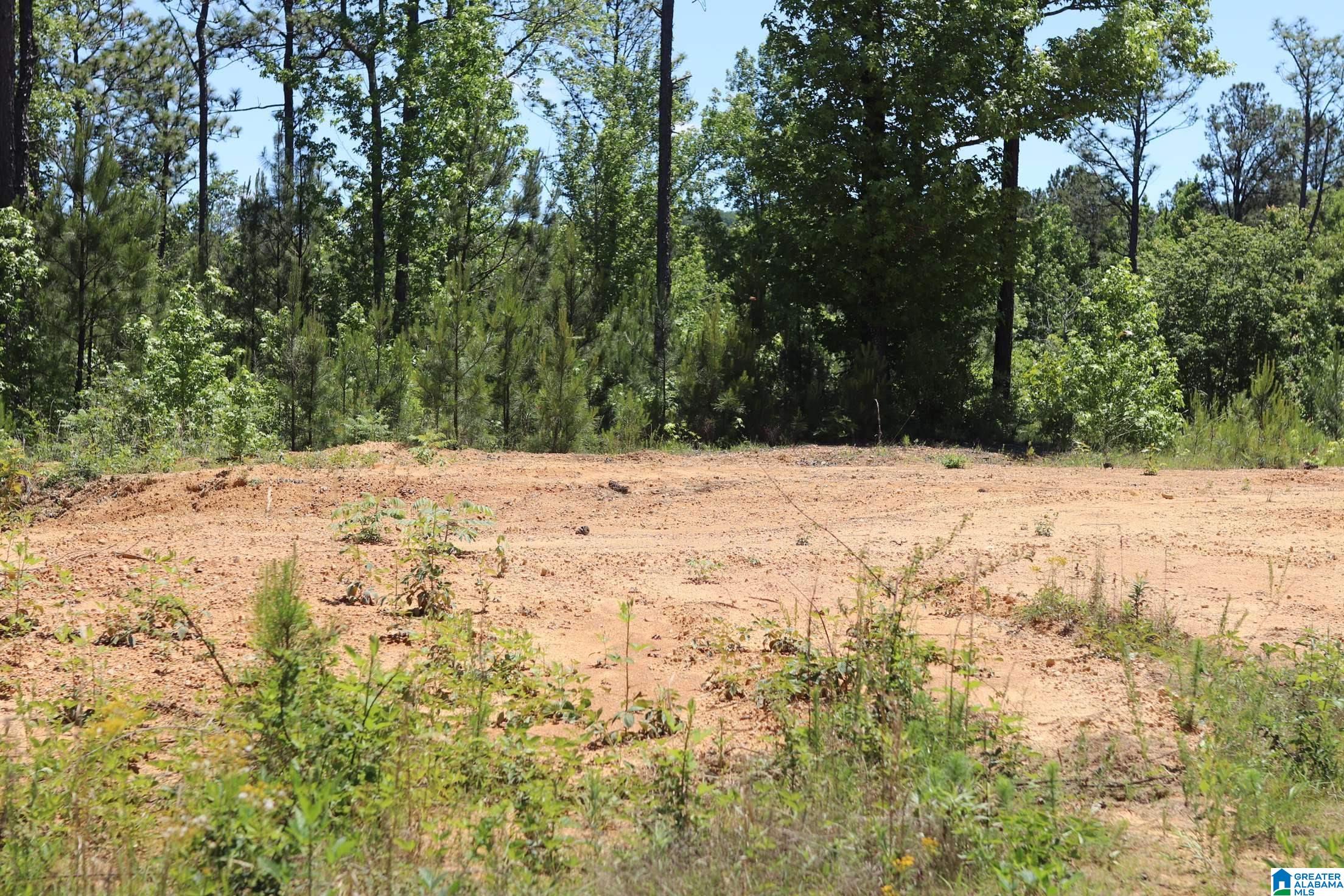 2930 Shocco Springs Road Talladega, AL 35160 - Photo 22 of 93