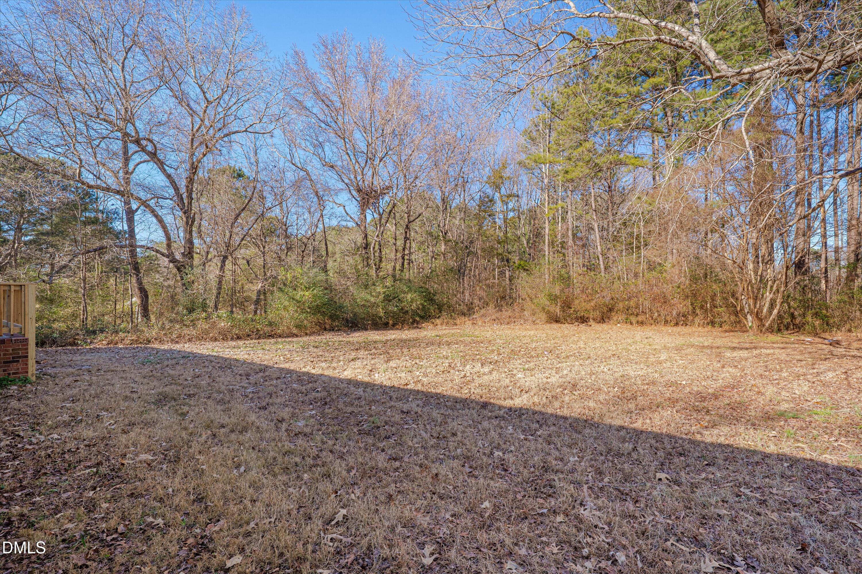 2728 South Cokesbury Road Henderson, NC 27537 - Photo 34 of 40 a view of dirt yard with trees