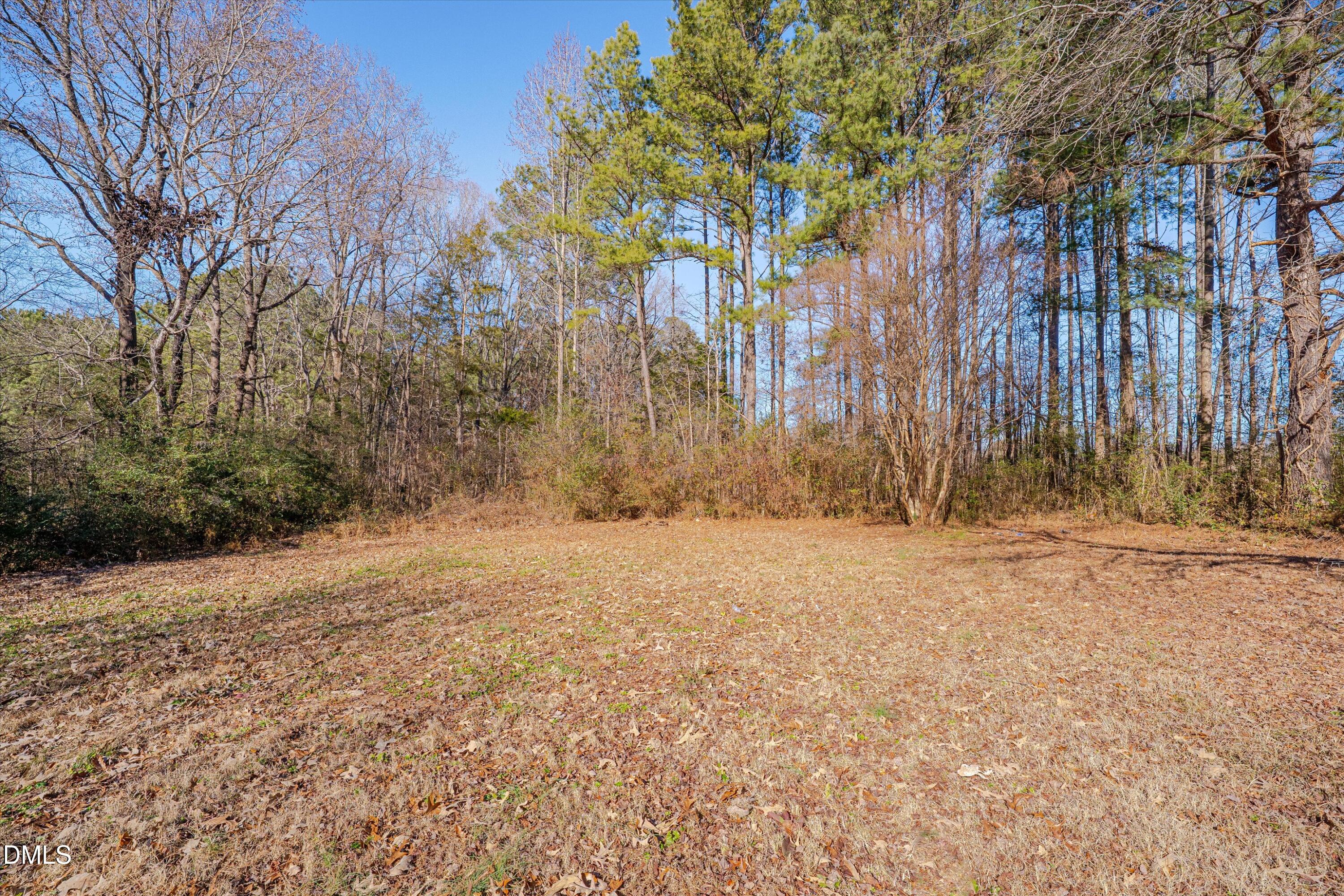 2728 South Cokesbury Road Henderson, NC 27537 - Photo 35 of 40 a backyard of a house with large trees