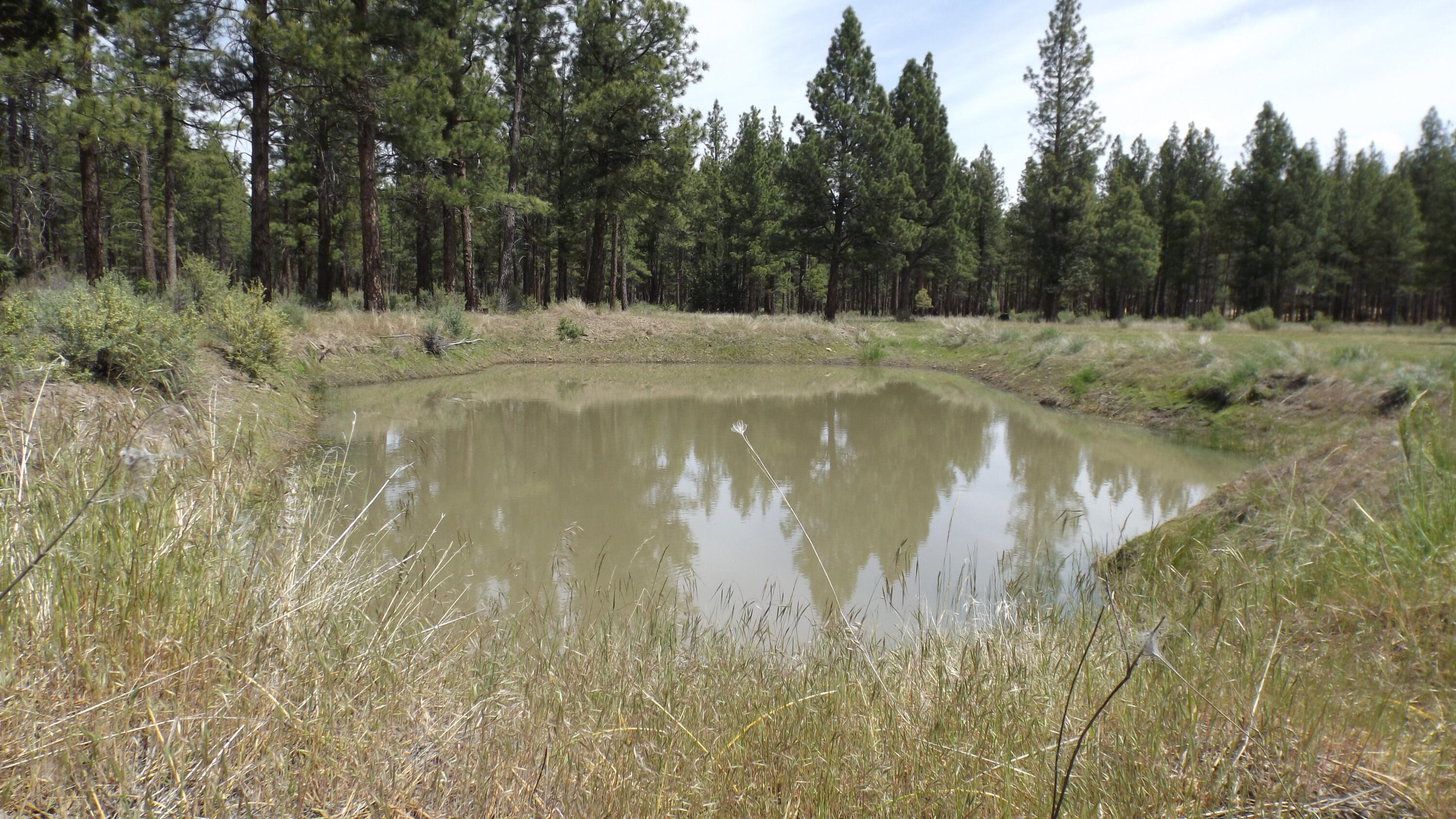 26949 Freemont Road Sprague River, OR 97639 - Photo 61 of 69 Pond