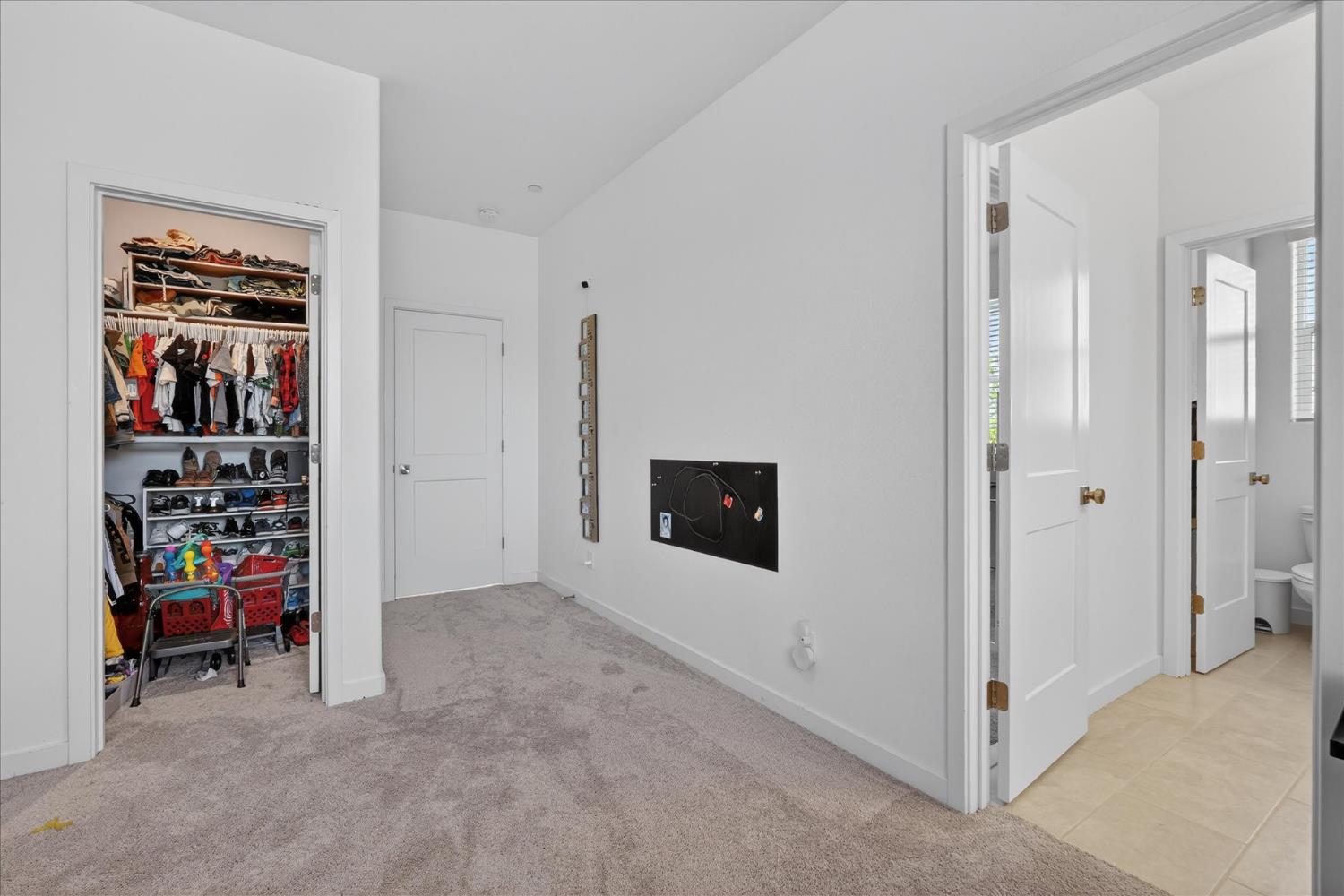824 Katelyn Avenue Madera, CA 93636 - Photo 18 of 31 a view of a livingroom with shelves