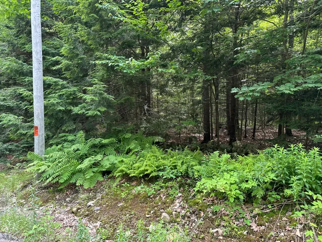 $75,000 | Tbd Dingley Road, Bowdoin, ME 04287