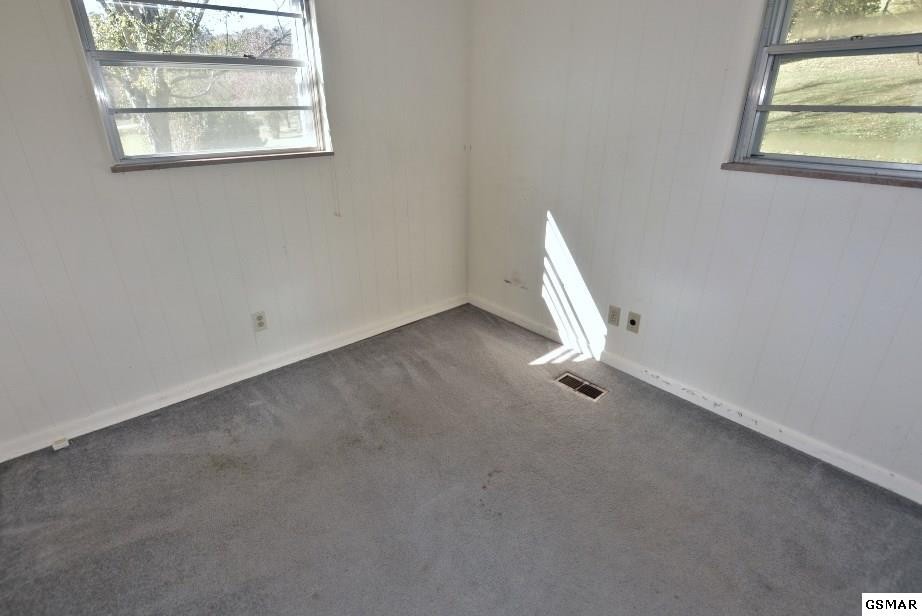 354 Webb Road Townsend, TN 37882 - Photo 18 of 36 Gallery Image 18