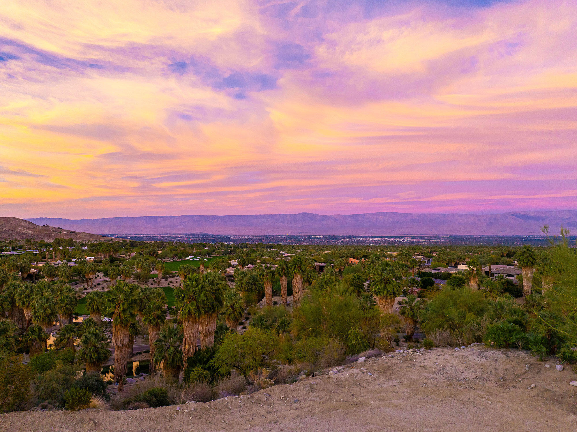 206 Palm Ridge Palm Desert, CA 92260 - Photo 12 of 14 a view of a yard with an outdoor space