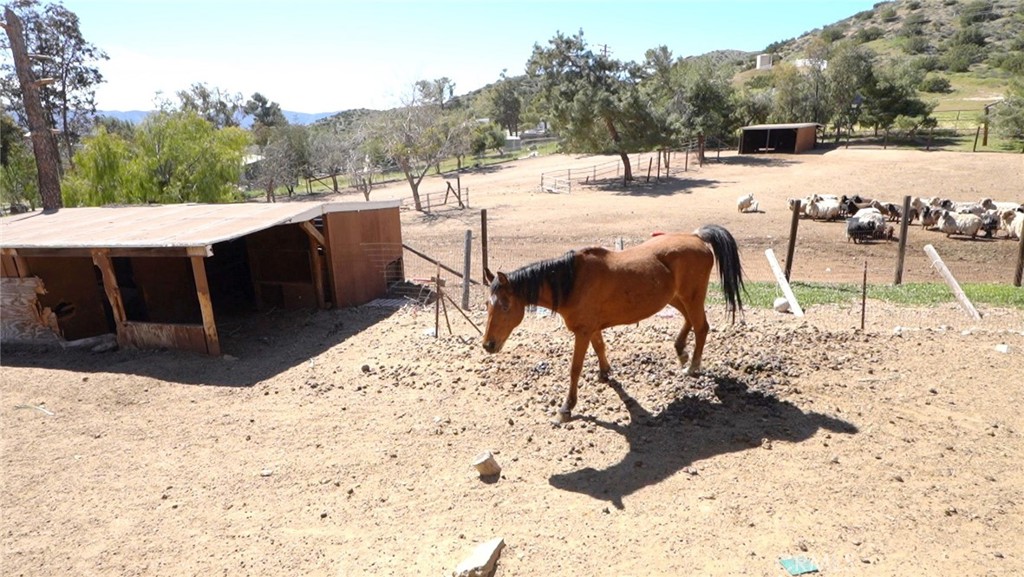 33716 Hubbard Road Acton, CA 93510 - Photo 11 of 61
