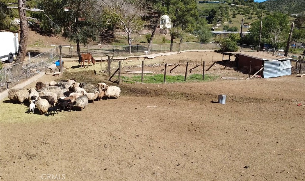 33716 Hubbard Road Acton, CA 93510 - Photo 10 of 61