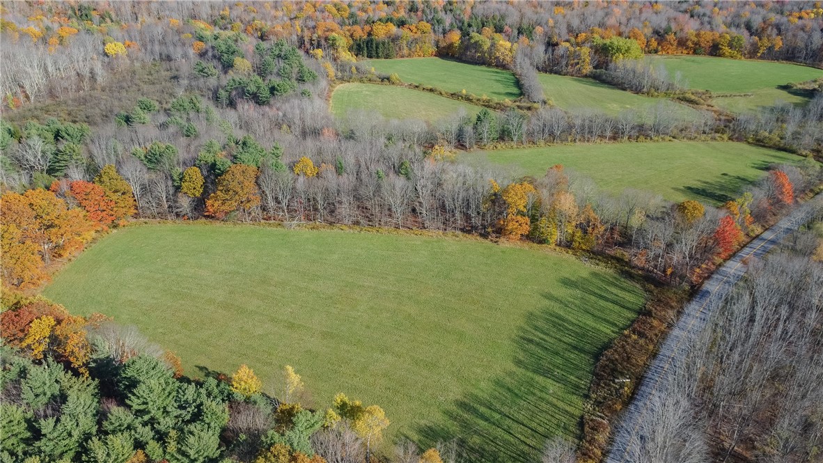 285 Shew Hollow Road Jefferson, NY 12093 - Photo 31 of 37