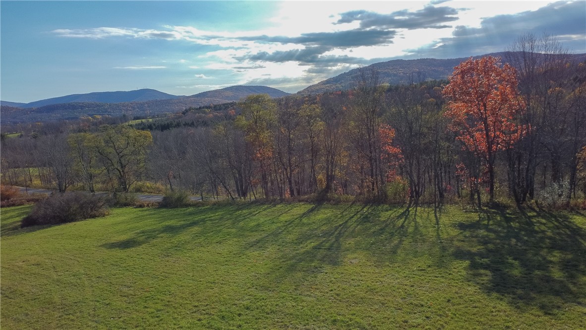 285 Shew Hollow Road Jefferson, NY 12093 - Photo 36 of 37