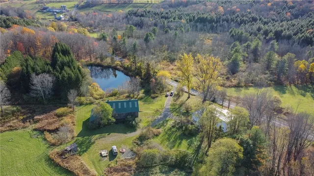 $1,200,000 | 285 Shew Hollow Road, Jefferson, NY 12093