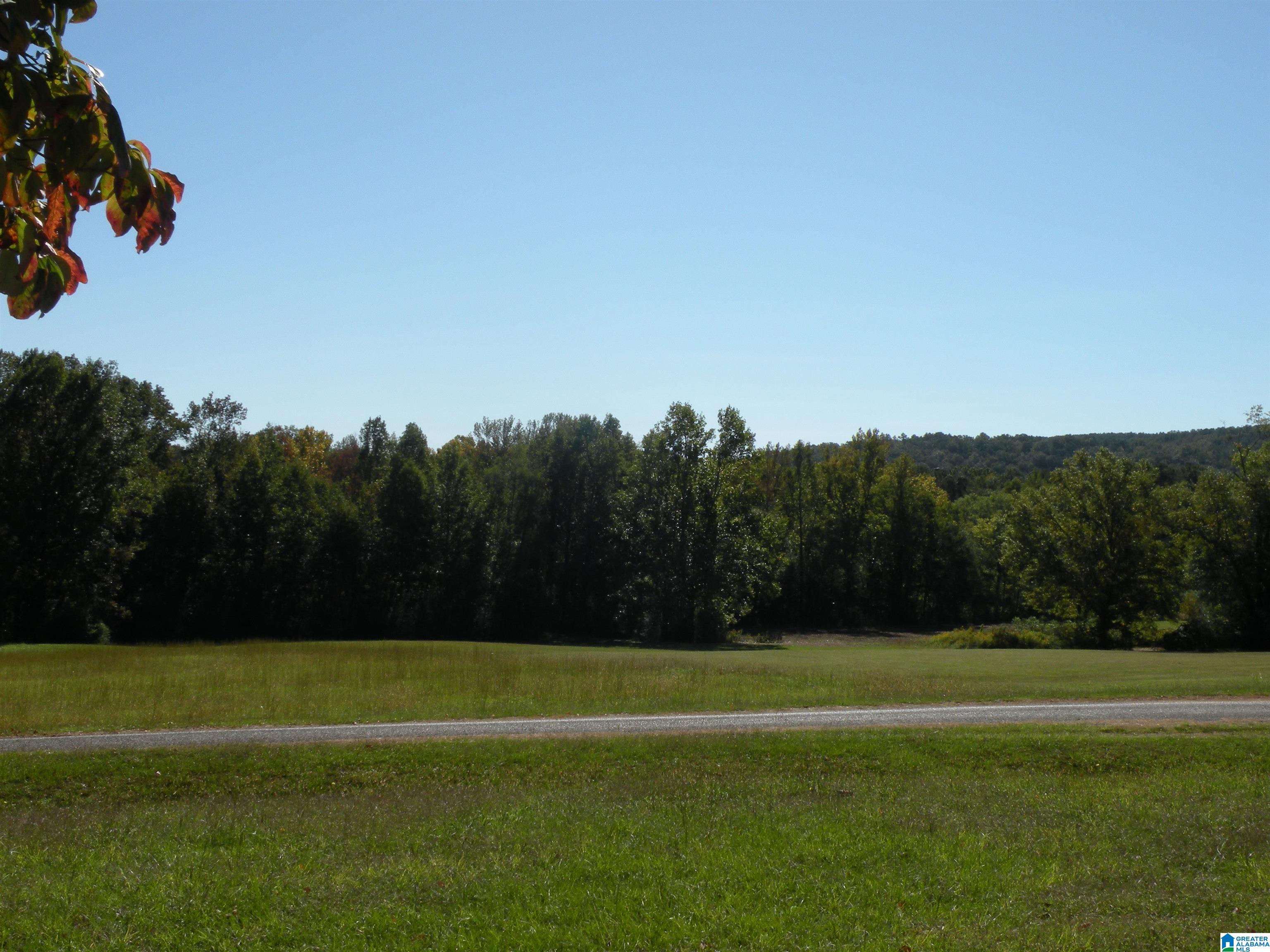 336 Blue Bird Lane Alpine, AL 35014 - Photo 30 of 32