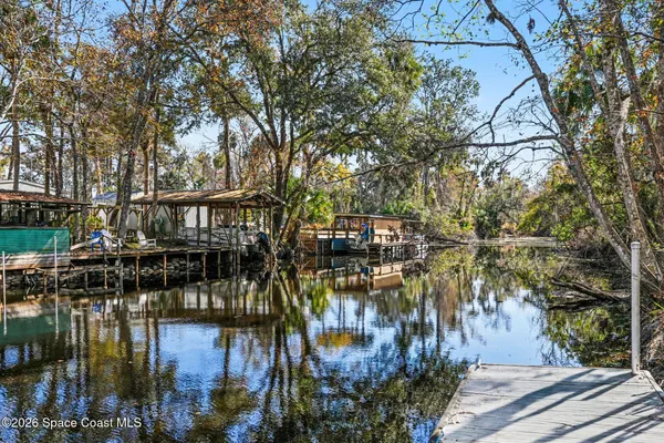 a lake view with boat and palm trees