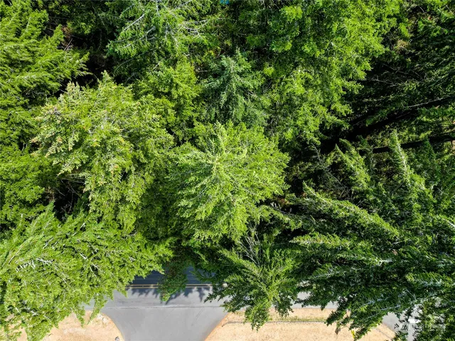 $20,000 | 10205 Eckenstam Johnson Road, Anderson Island, WA 98303