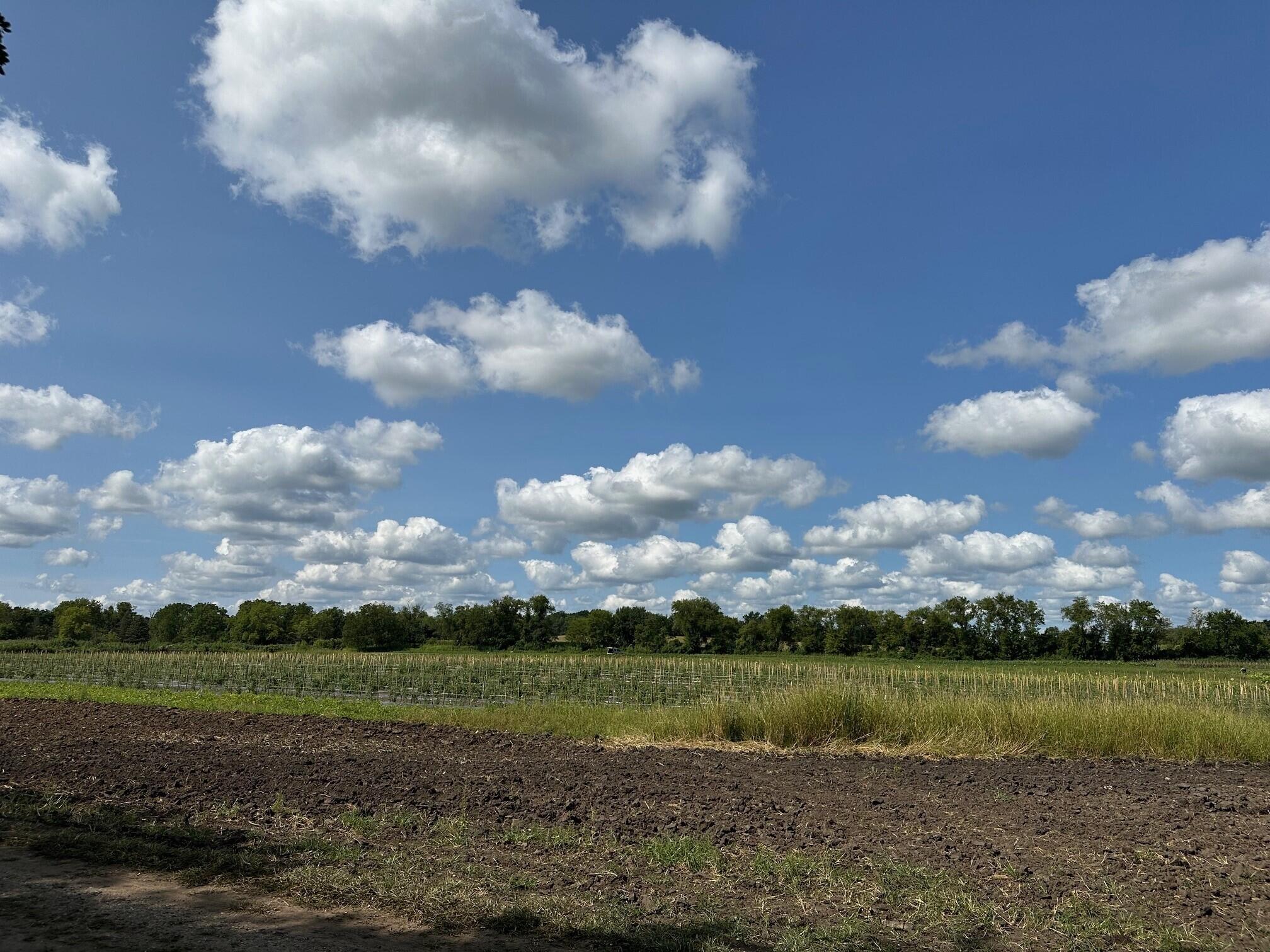 21010 75th Street Bristol, WI 53104 - Photo 7 of 13 field