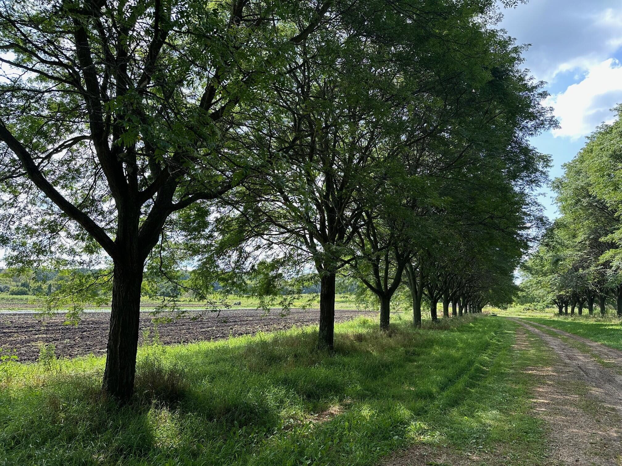 21010 75th Street Bristol, WI 53104 - Photo 9 of 13 land
