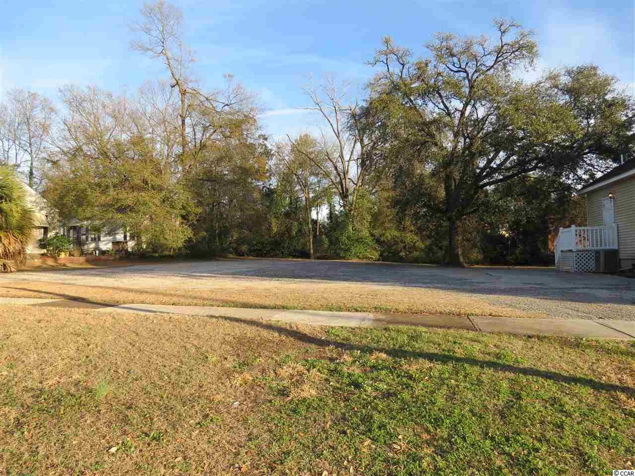118 Cleland Street Georgetown, SC 29440 - Photo 2 of 5 Gallery Image 2