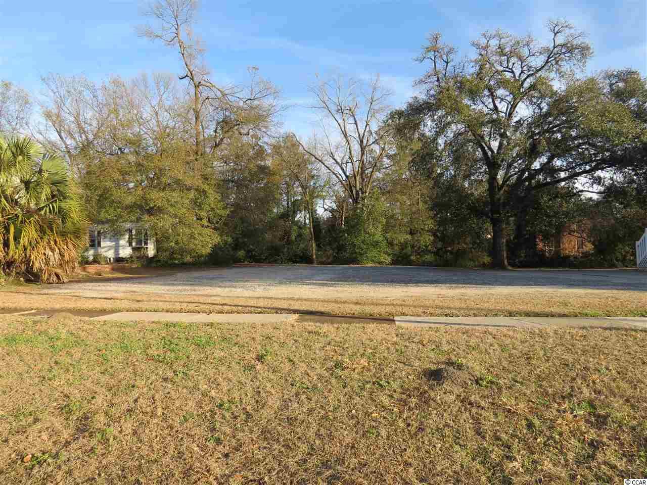 118 Cleland Street Georgetown, SC 29440 - Photo 3 of 5 Gallery Image 3