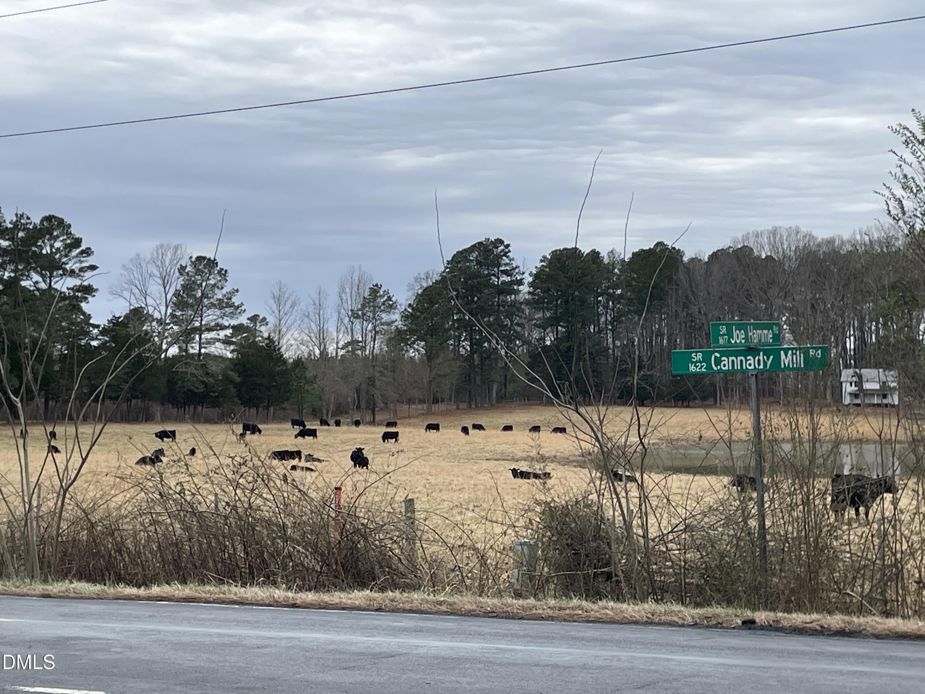 4045 Joe Hamme Road Oxford, NC 27565 - Photo 12 of 33 IMG_3706