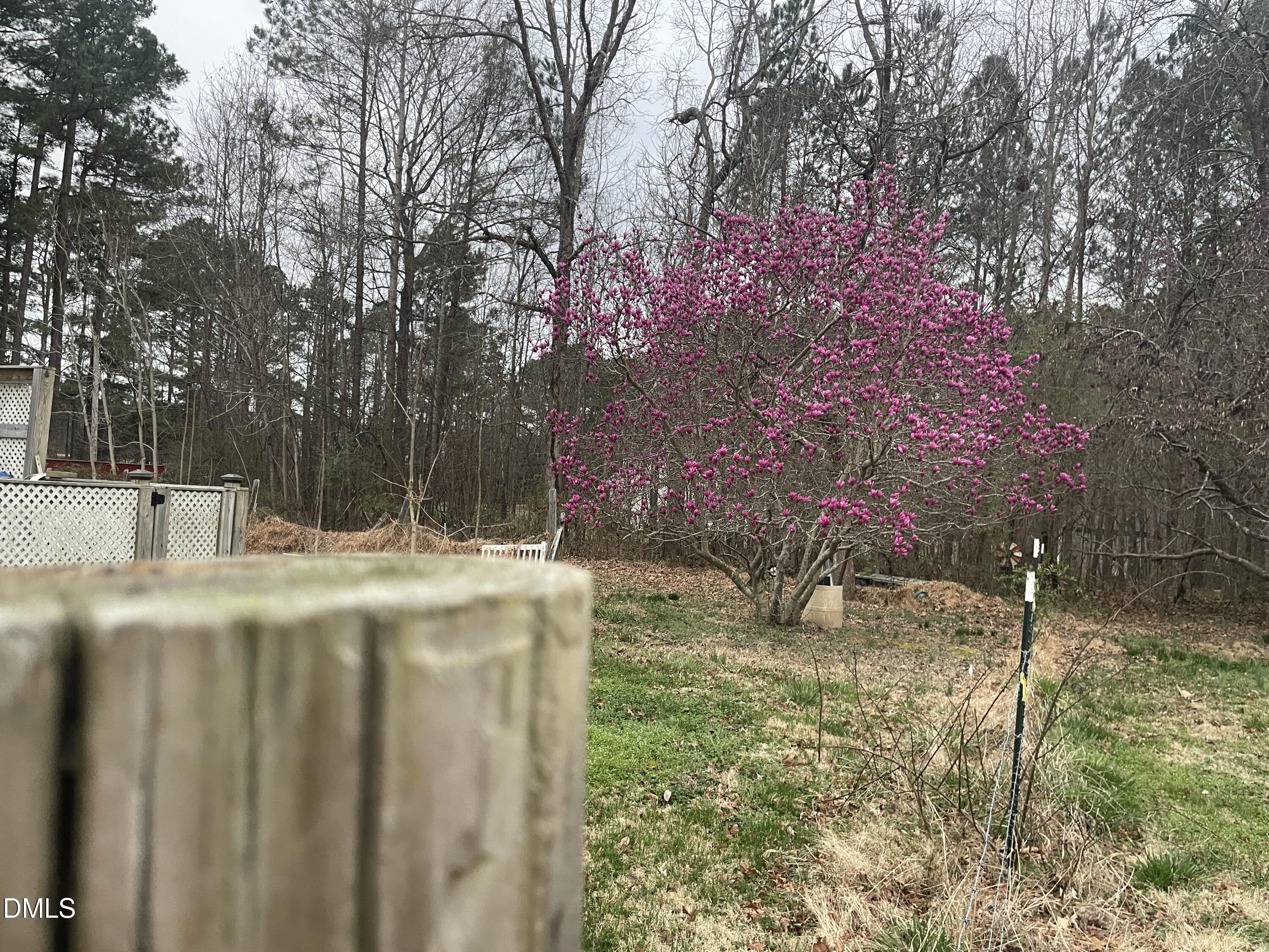 4045 Joe Hamme Road Oxford, NC 27565 - Photo 3 of 33 IMG_3781 2