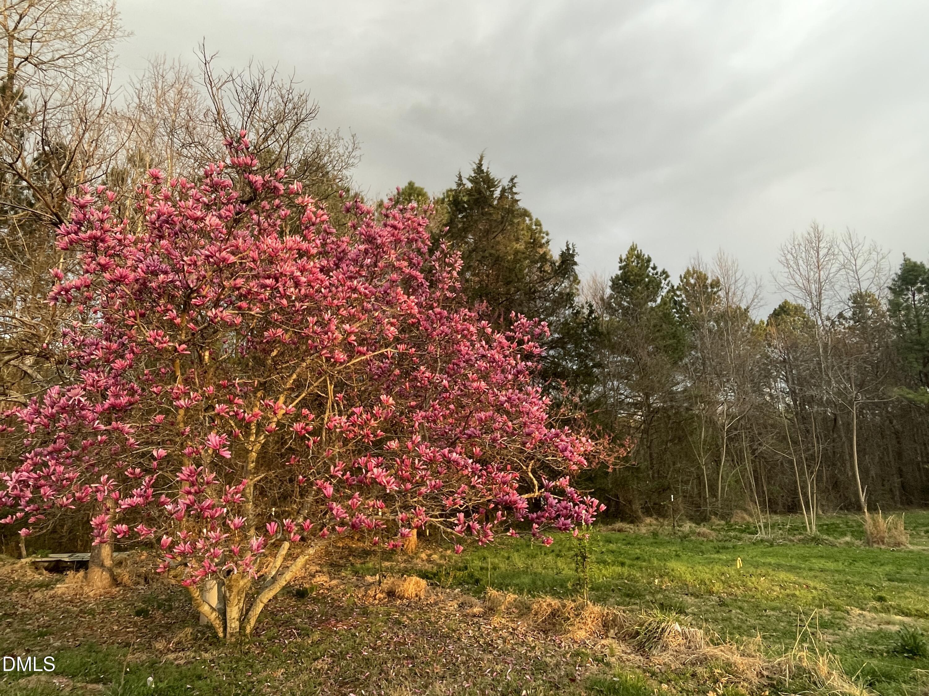 4045 Joe Hamme Road Oxford, NC 27565 - Photo 4 of 33 IMG_3843