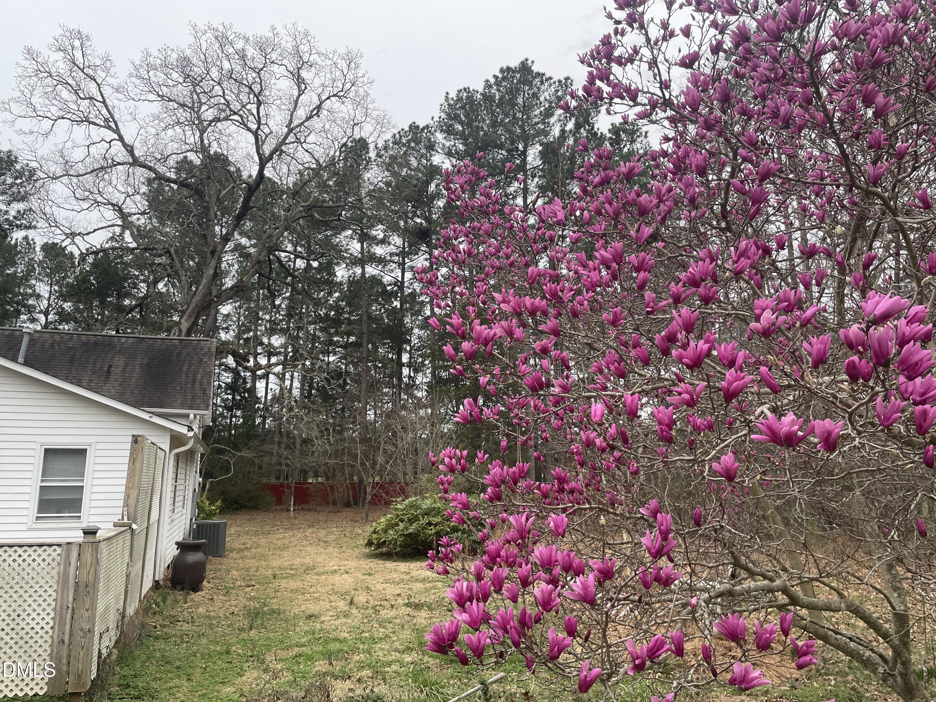 4045 Joe Hamme Road Oxford, NC 27565 - Photo 8 of 33 IMG_3771