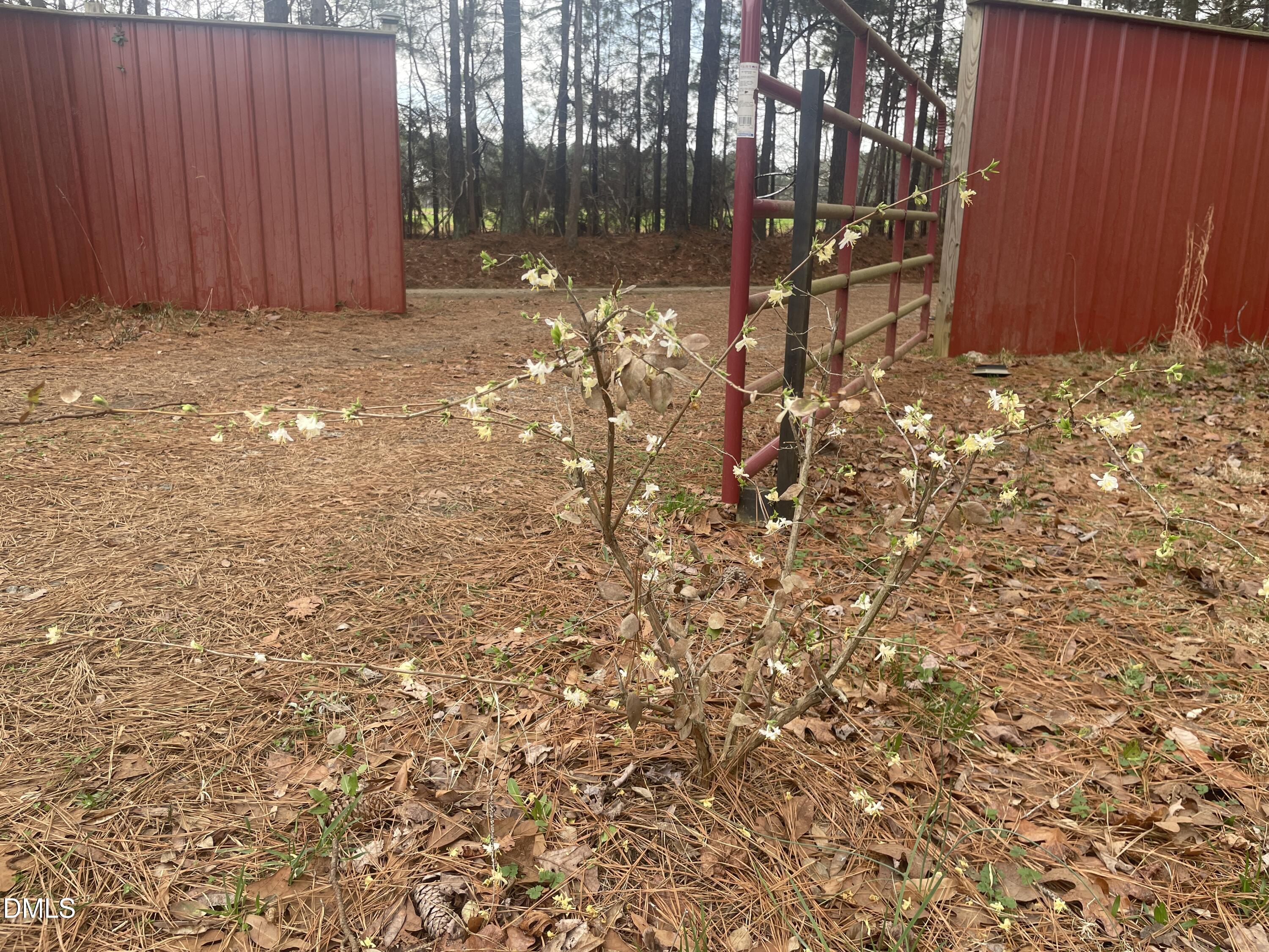 4045 Joe Hamme Road Oxford, NC 27565 - Photo 9 of 33 IMG_3761