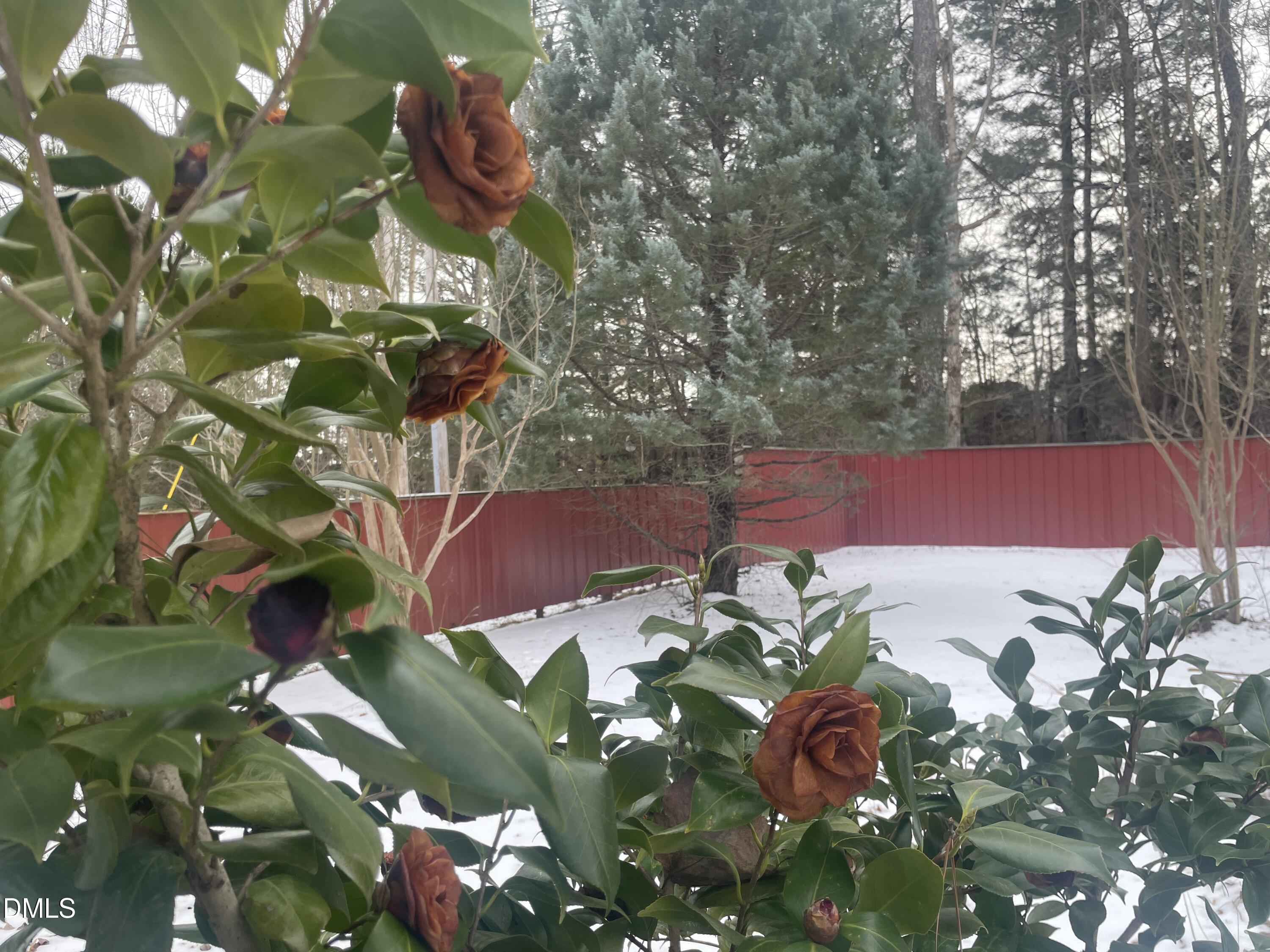 4045 Joe Hamme Road Oxford, NC 27565 - Photo 10 of 33 IMG_3663