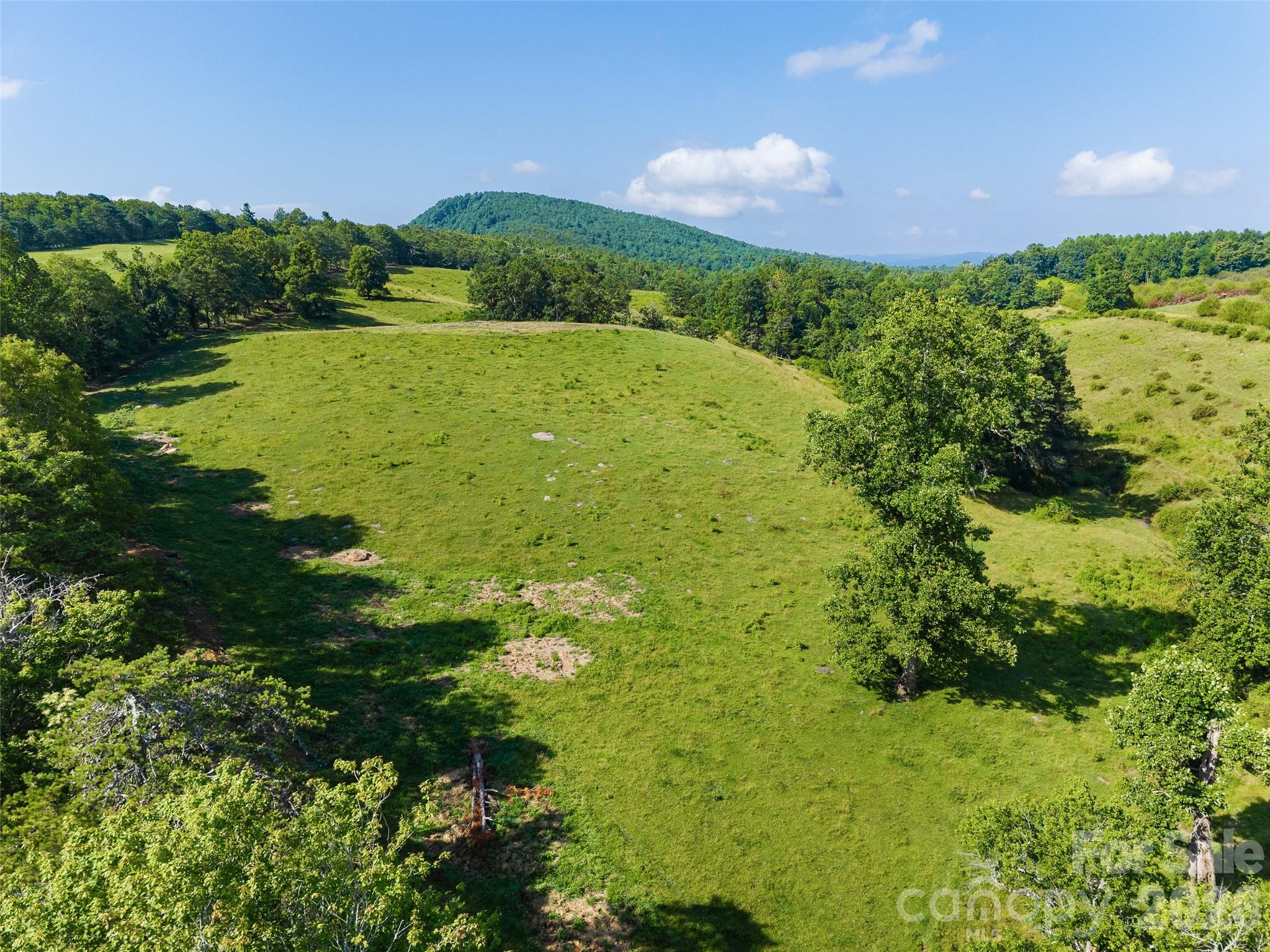 0 Summer Road, Unit 3 Hendersonville, NC 28792 - Photo 3 of 20