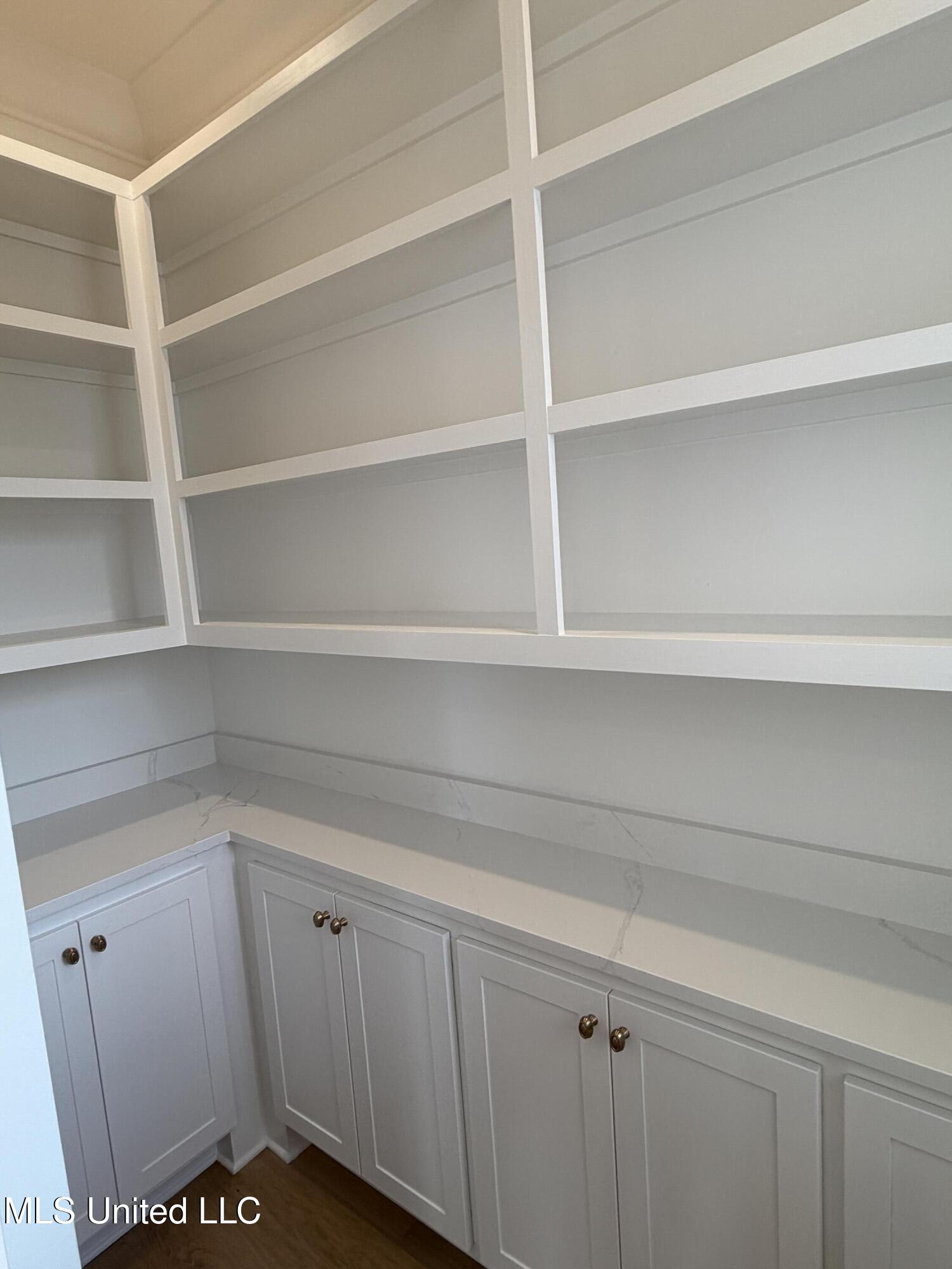 105 Commonwealth Drive Madison, MS 39110 - Photo 8 of 12 Pantry