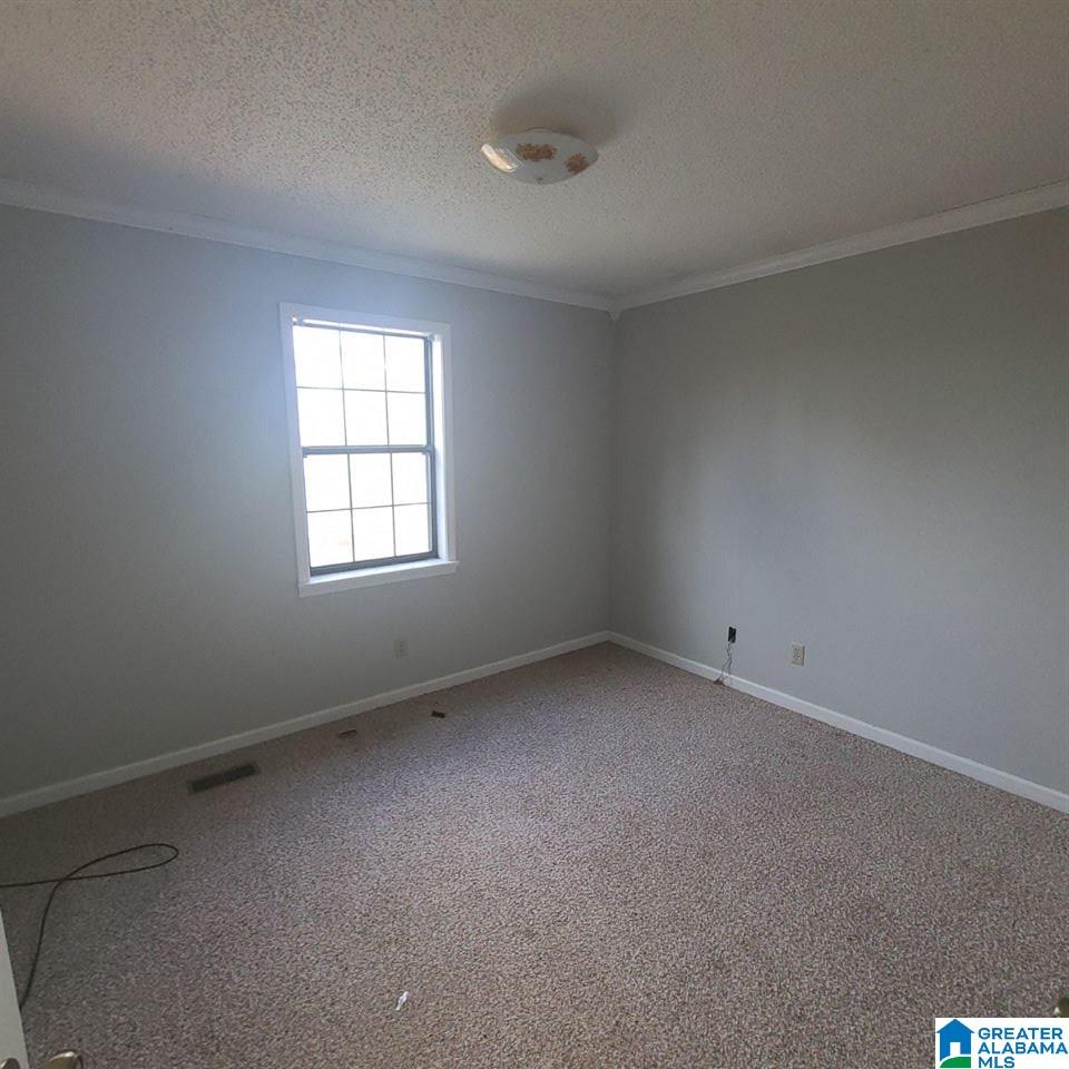 1915 Rabbit Branch Road Cropwell, AL 35054 - Photo 7 of 16