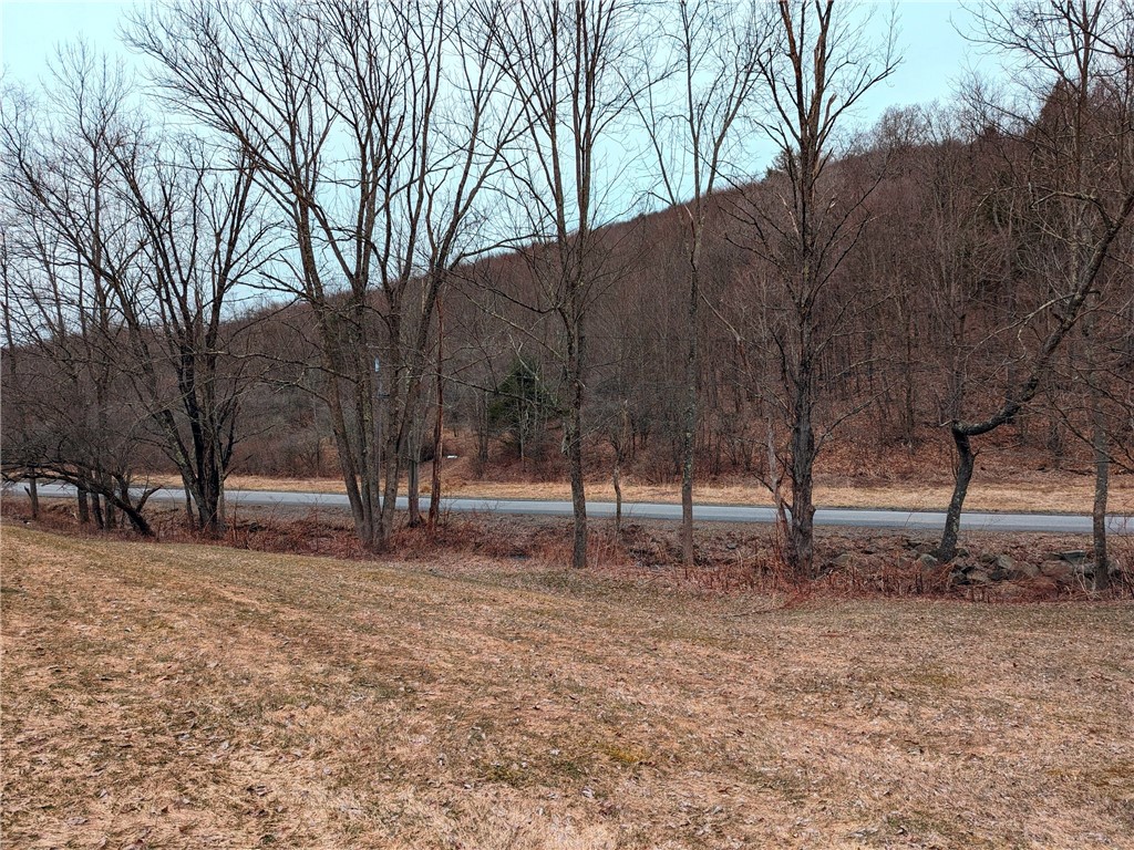 0 Marvin Hollow Road Walton, NY 13856 - Photo 3 of 6 picture form propety across the road that can be p