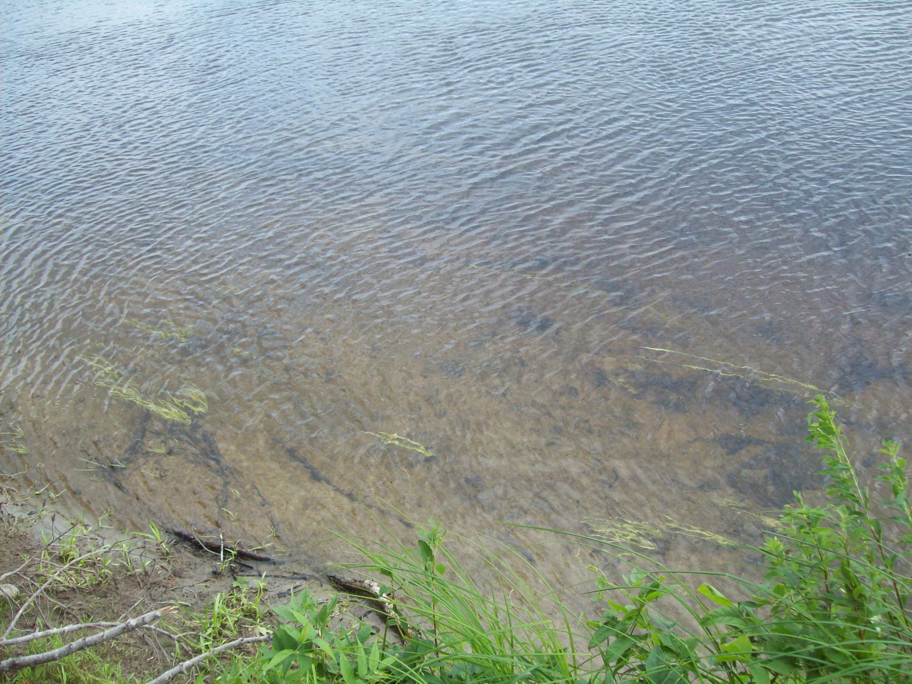 Tbd Mattmiscontis Road Lincoln, ME 04457 - Photo 5 of 12 100_2069