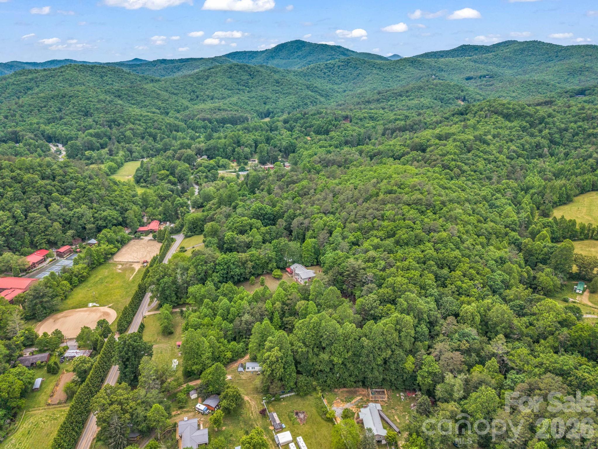 656 Cashiers Valley Road Brevard, NC 28712 - Photo 36 of 37 a view of a lush green outdoor space with a lake view