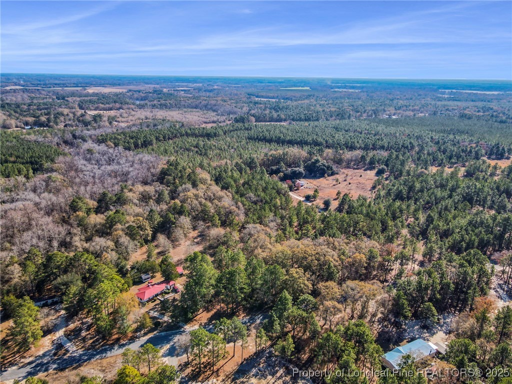 East Lake Road Wagram, NC 28396 - Photo 12 of 26 Gallery Image 12