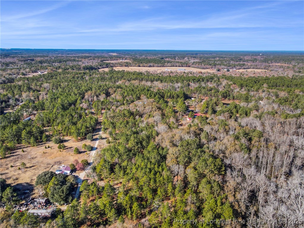 East Lake Road Wagram, NC 28396 - Photo 15 of 26 Gallery Image 15