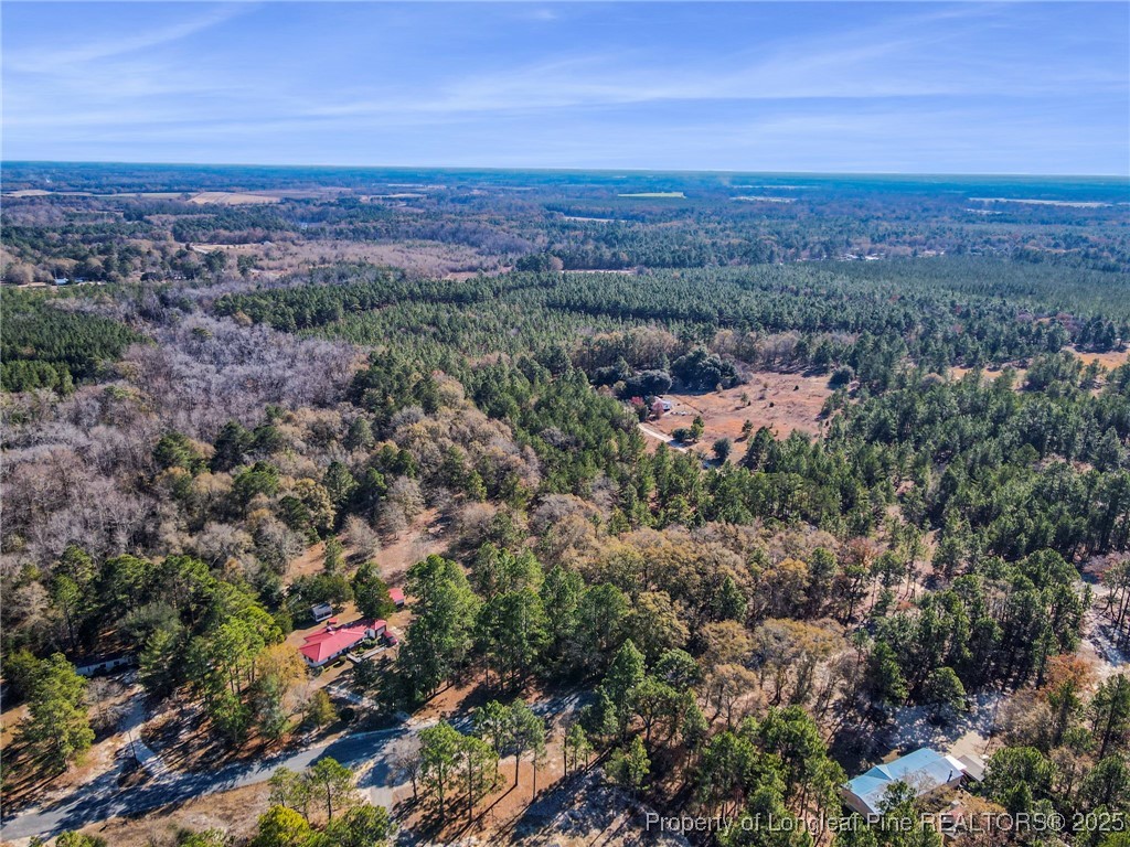 East Lake Road Wagram, NC 28396 - Photo 17 of 26 Gallery Image 17