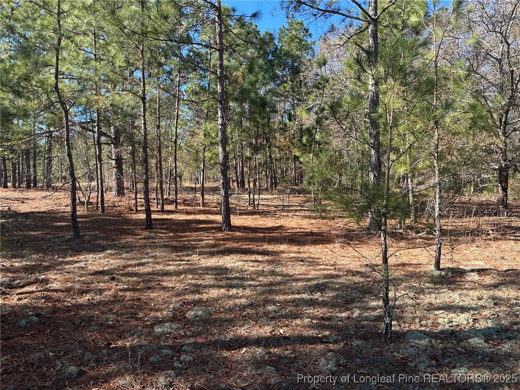 East Lake Road Wagram, NC 28396 - Photo 20 of 26 Gallery Image 20