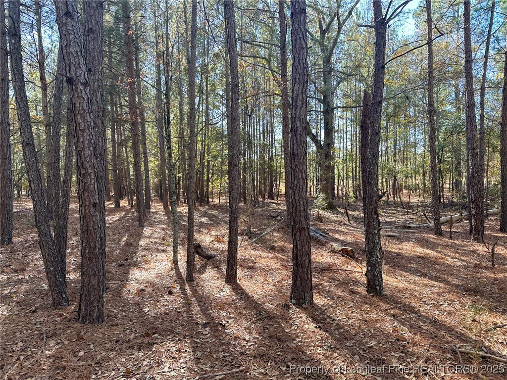 East Lake Road Wagram, NC 28396 - Photo 21 of 26 Gallery Image 21