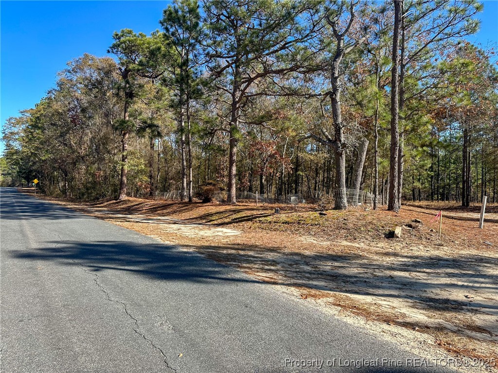 East Lake Road Wagram, NC 28396 - Photo 26 of 26 Gallery Image 26